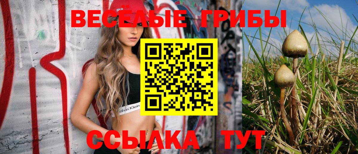 Галлюциногенные грибы ЛСД Менделеевск